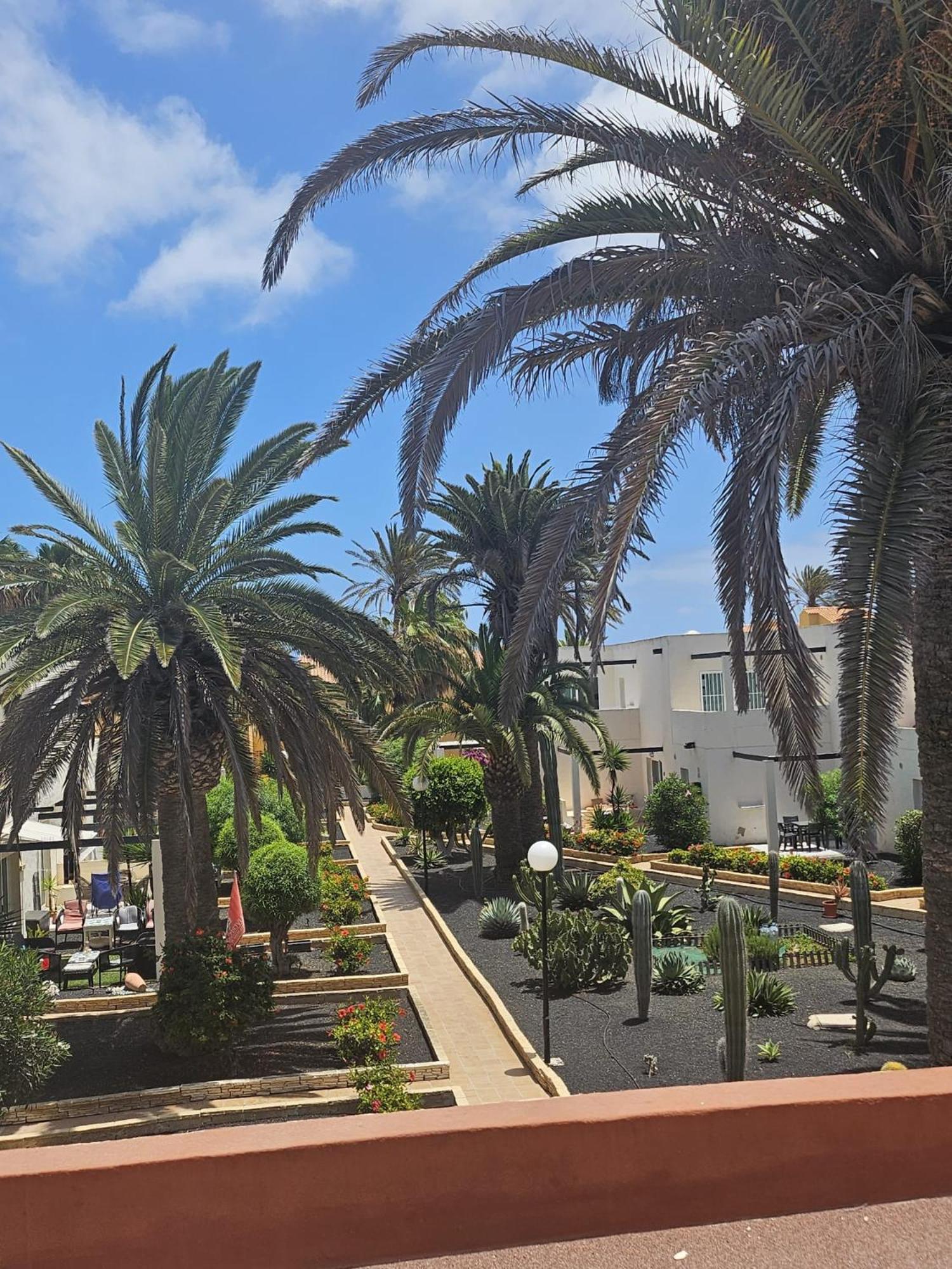 Appartement Alisios Playa à Corralejo Extérieur photo